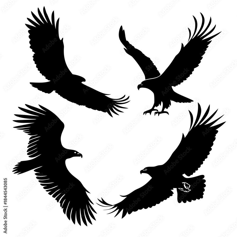 Fototapeta premium Four black eagle silhouettes in flight on white background