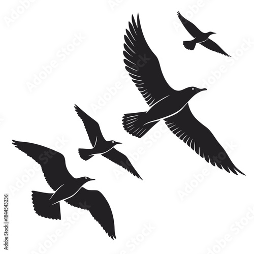 Four black birds flying in silhouette white background