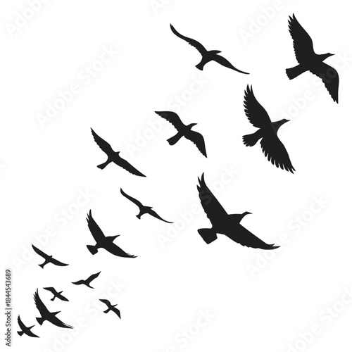 Flock of black birds flying in v formation silhouette