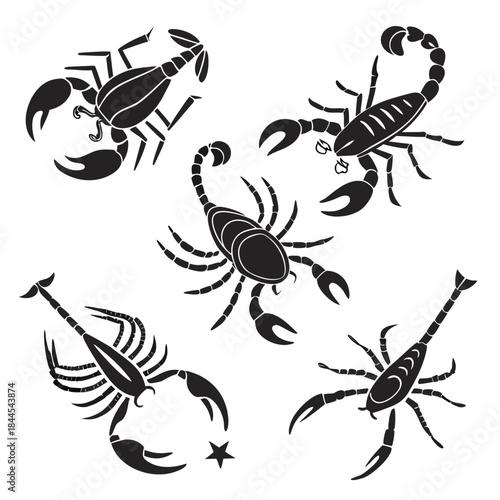 Five black scorpion silhouettes on white background