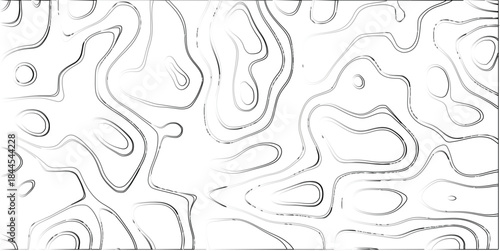 Abstract grayscale contour lines forming a complex pattern of interconnected organic shapes and irregular curves with a gradient effect