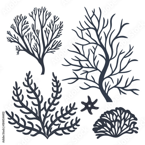 Dark Blue Coral and Seaweed Silhouettes with Starfish