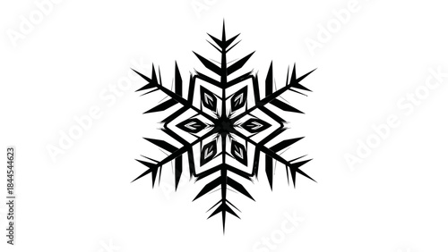 Striking Black and White Abstract Snowflake Illustration with Geometric Symmetry