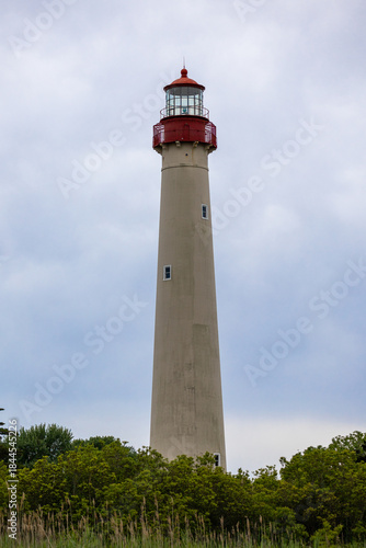 Cape May Lighthouse Behind Trees