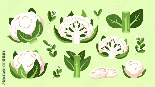 Animated illustration of cauliflower and broccoli with leaves and herbs in a