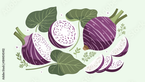 Stylized illustration of purple kohlrabi with leafy greens and cut slices for