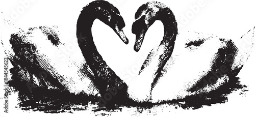 Pair of swans forming a heart shape in black and white. This classic vector illustration symbolizes love and unity in nature.