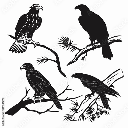 Four black silhouettes of birds of prey on branches