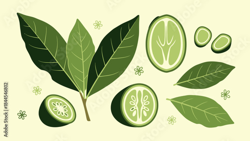 Fresh cucumber slices and vibrant green basil leaves illustration for healthy