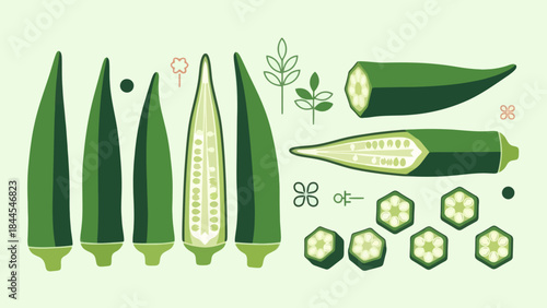 Illustrative depiction of fresh cucumbers sliced and whole in a minimalistic