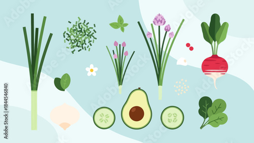 Delightful collection of fresh vegetables and herbs in an animated style for