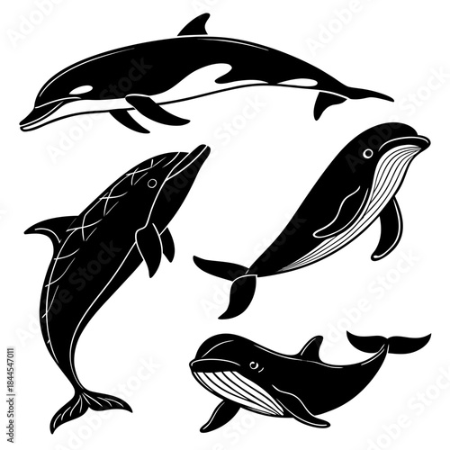 Four black whale and dolphin silhouettes with white outlines