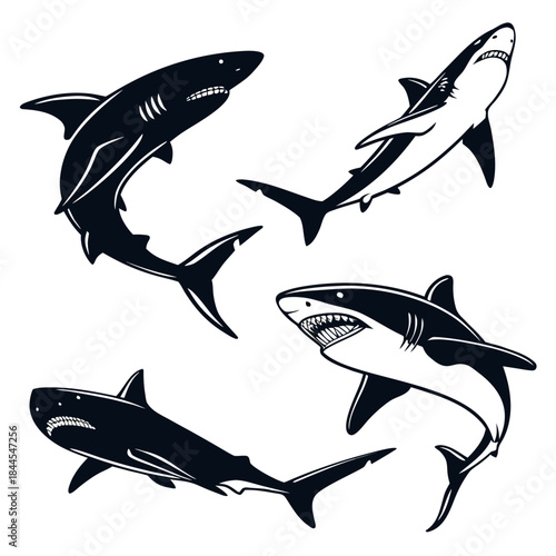 Four shark silhouettes in different poses and angles