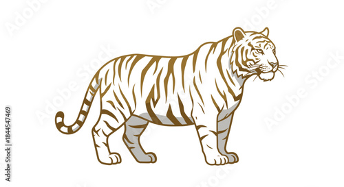Magnificent White Tiger with Golden Stripes Graceful Wildlife Art Vector