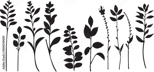 Black silhouette of various wildflowers