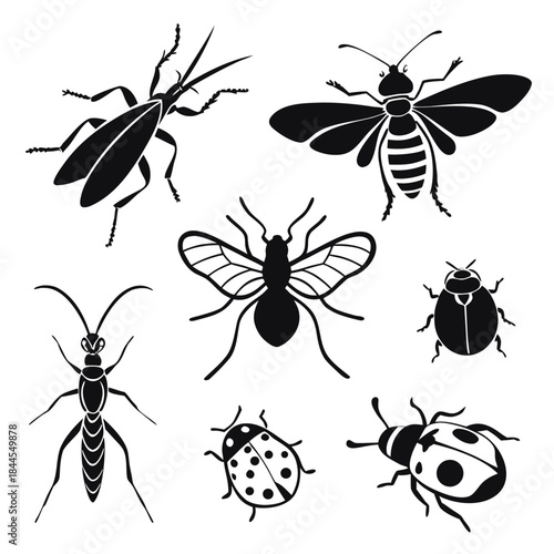 Set of black insect silhouettes on a white background
