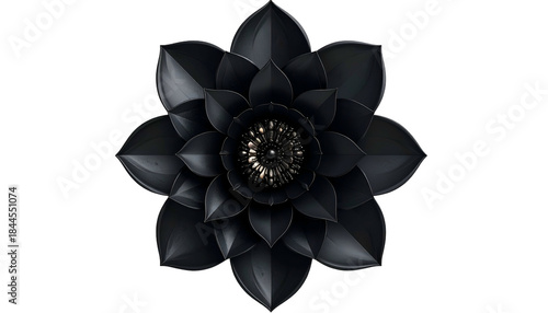 Dark, symmetrical, digitally rendered flower with detailed petals and glowing center, black backdrop