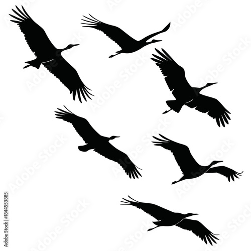 Seven black bird silhouettes in flight against white background