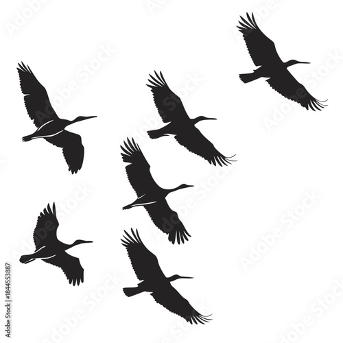 Seven black bird silhouettes flying in formation flock