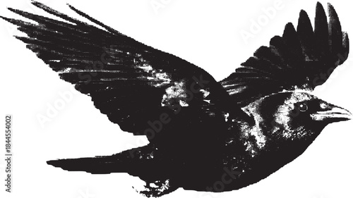 Black flying bird illustration with bold wings and elegant shape. This simple vector design is a perfect representation in an artistic set.