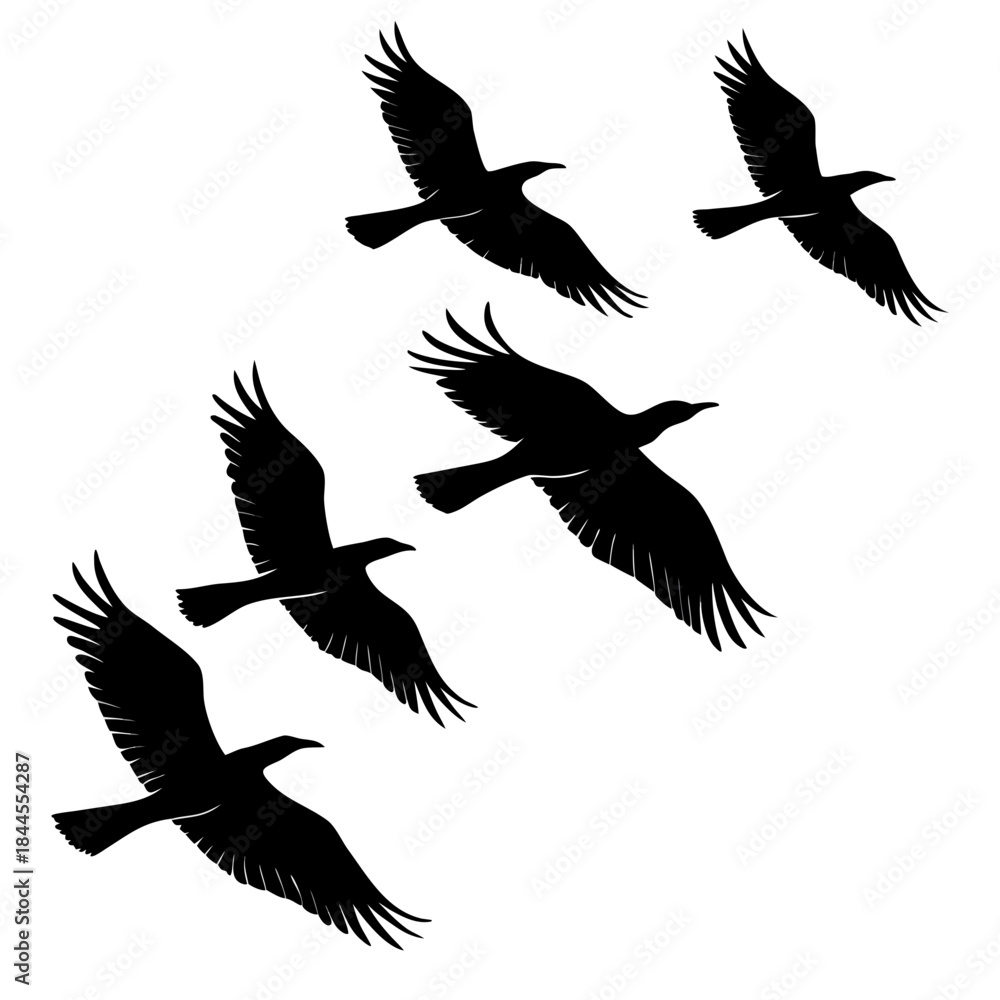 Fototapeta premium Six black bird silhouettes flying in formation birds