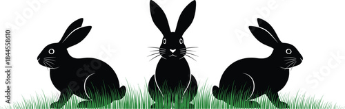 Black Rabbit Silhouette Set Sitting and Looking Around in Grass Minimal Wildlife Cartoon Vector Illustration
