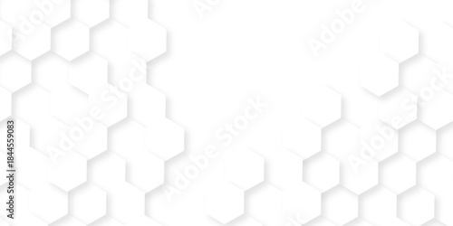 Abstract white grid presentation surface mosaic and tiles minimal tech bee website science element grid overlay white hexagon futuristic technology geometric texture background.