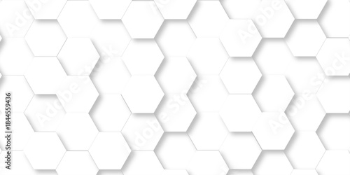 Abstract white grid presentation surface mosaic and tiles minimal tech bee website science element grid overlay white hexagon futuristic technology geometric texture background.