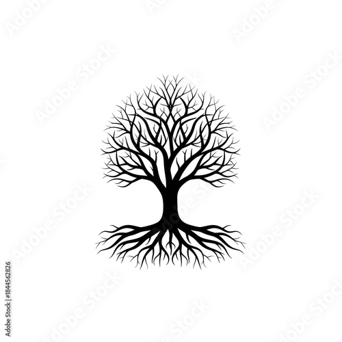 Abstract Black Silhouette of a Bare Tree with Intricate Branches and Strong Roots, Nature, Life, Growth Symbol