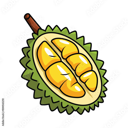 Durian Fruit