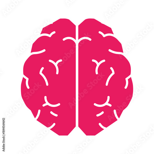 Human brain illustration in pink color