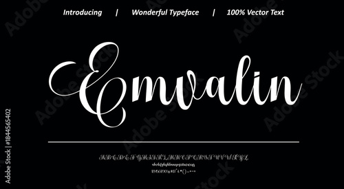 Artistic handwritten script with soft rhythm and elegant flow, designed for creative branding, packaging, and expressive typography layouts.