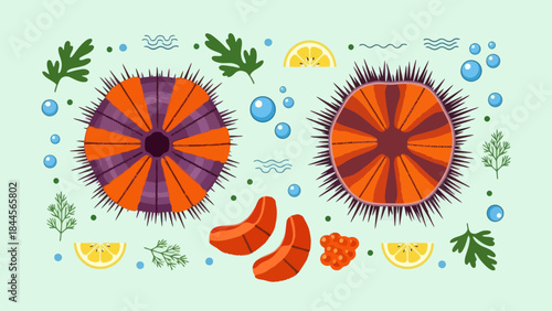 Vivid Illustrations of Sea Urchins with Lemon and Herb Garnishes on Light