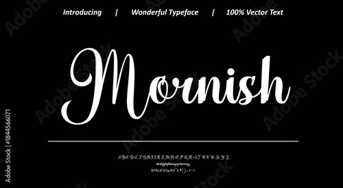 Charming calligraphic font 30 with graceful curves and smooth strokes, perfect for wedding stationery, boutique branding, and decorative text use.