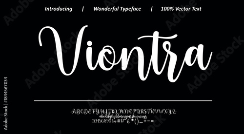 Modern calligraphy font 47 featuring graceful movement and balanced letterforms, perfect for premium branding, fashion design, and stylish visual identities.