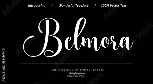 Elegant script font 6 with smooth flowing strokes and refined curves, ideal for luxury branding, logos, invitations, and sophisticated typography projects.