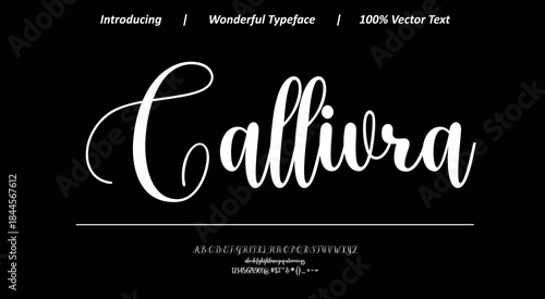 Elegant script font 11 with smooth flowing strokes and refined curves, ideal for luxury branding, logos, invitations, and sophisticated typography projects.