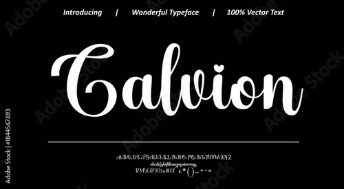 Modern calligraphy font 12 featuring graceful movement and balanced letterforms, perfect for premium branding, fashion design, and stylish visual identities.