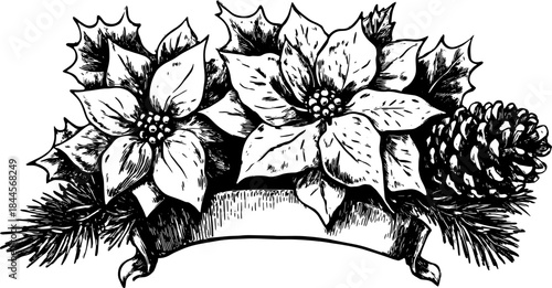 Poinsettia flower and pinecone illustration in black and white. Decorative botanical vector art set showcasing nature.