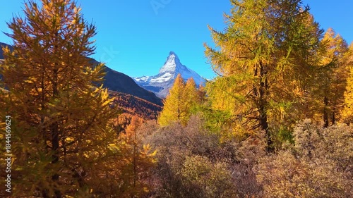 Matterhorn Mountain and Yellow Larches in Autumn on Sunny Day. Swiss Alps. Zermatt, Valais, Switzerland. Aerial View. Moving Forward and Upwards. Reveal Shot