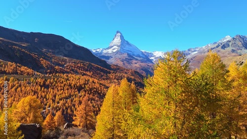 Matterhorn Mountain and Yellow Golden Larches in Autumn on Sunny Day. Swiss Alps. Zermatt, Valais, Switzerland. Aerial Drone Shot. Moving Forward