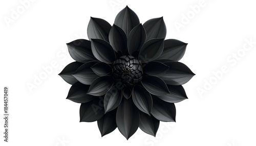 A meticulously rendered, top-down view of a velvety black dahlia against a stark black background