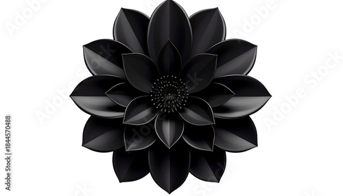 A symmetrical, stylized, black flower with many layered petals on a stark black background
