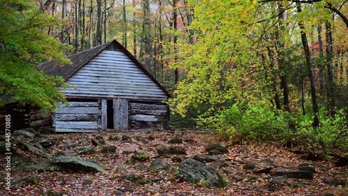 A historic shed near the Ben Ogle cabin in the Great Smoky Mountains surrounded by trees blowing in the wind at dawn.