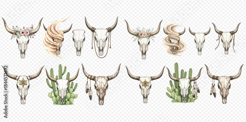 Set of watercolor bull skulls with flowers, feathers, and cactus, isolated on transparent background.