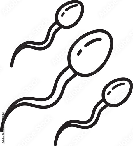 Three swimming human sperm cells, biological black and white vector illustration