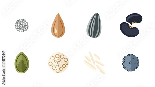 Collection of diverse seeds and grains presented in a clean, isolated graphic illustration style