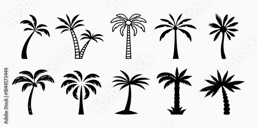 A collection of various black and white palm tree silhouettes