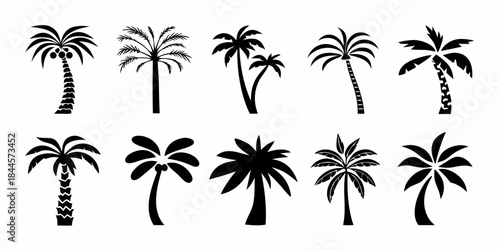 Collection of diverse black silhouette palm tree shapes and variations