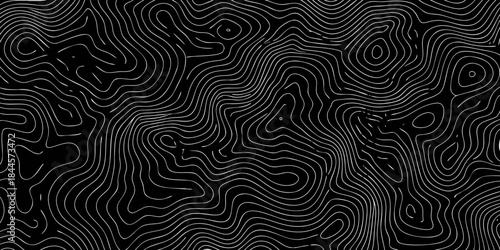 Abstract black and white swirling lines creating a patterned organic texture